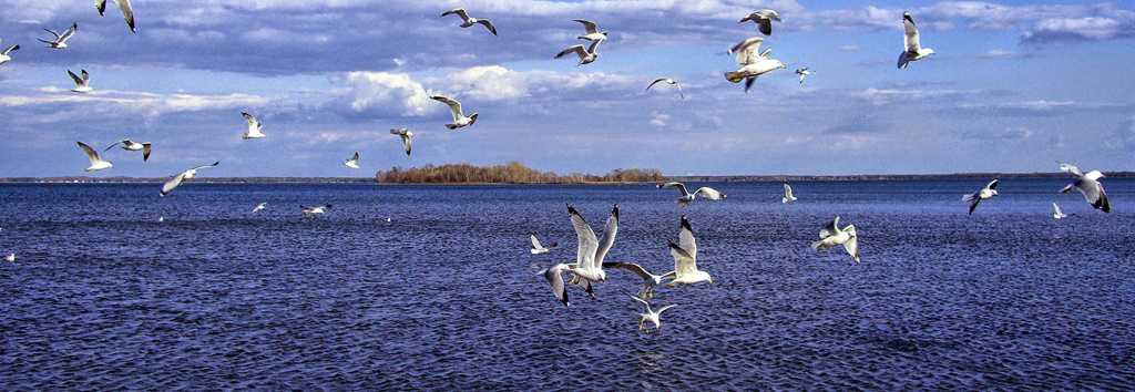 Lakes in Odisha