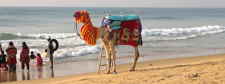 Puri Sea Beach - Travel Holidays India