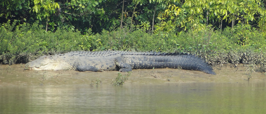 Nature Tour in Odisha