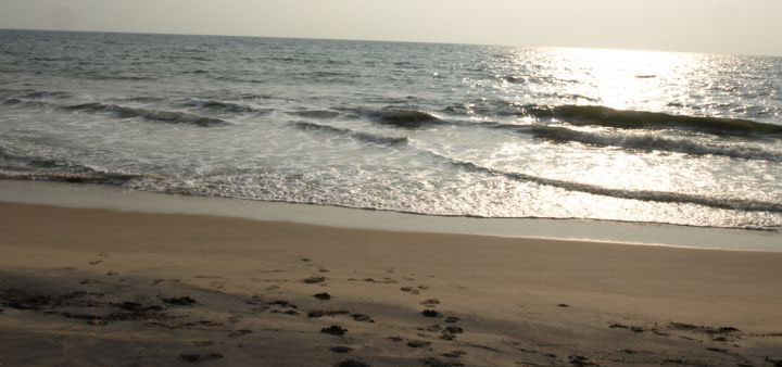 beaches-in-odisha