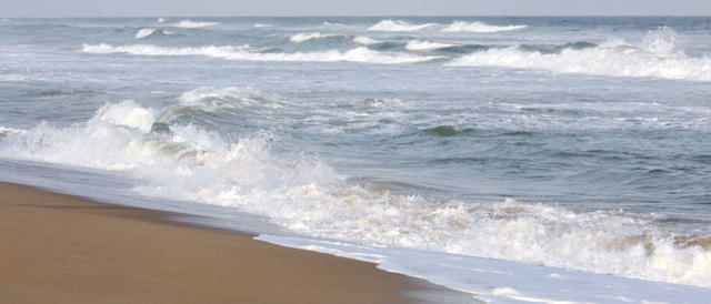 Beach Tours in Odisha