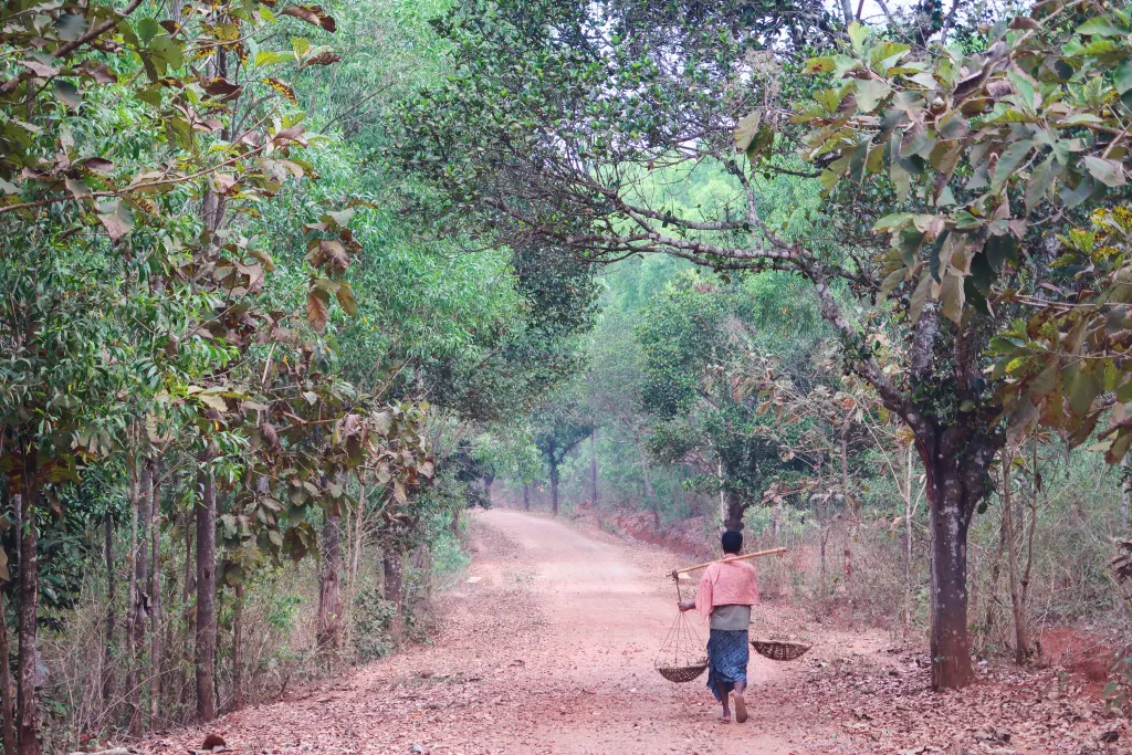 Discover Authentic Life with a Tribal Village Tour in Odisha