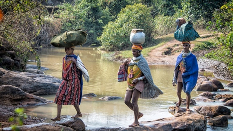 Authentic-Tribal-Village-Tour-in-Odisha-Explore-Culture,-Nature-and-Tradition-with-Travel-Holidays