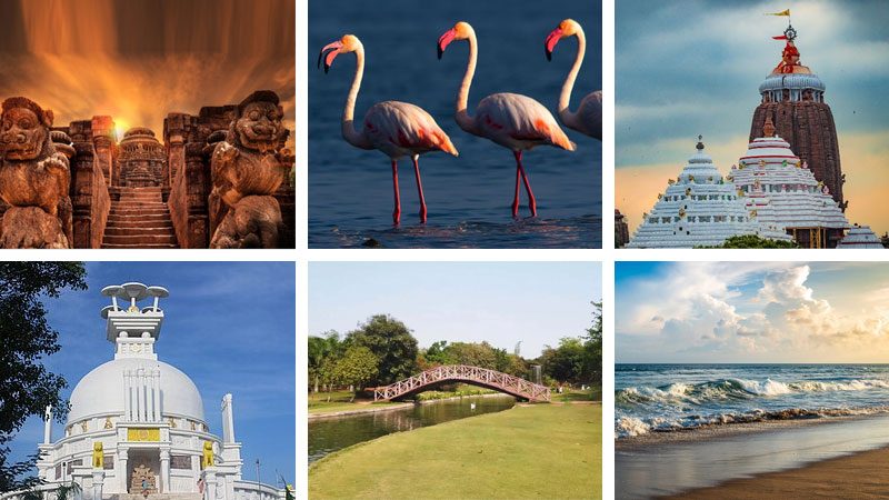 Experience-the-Best-of-Odisha-5-Nights-6-Days-Tour-Package-for-a-Memorable-Vacation