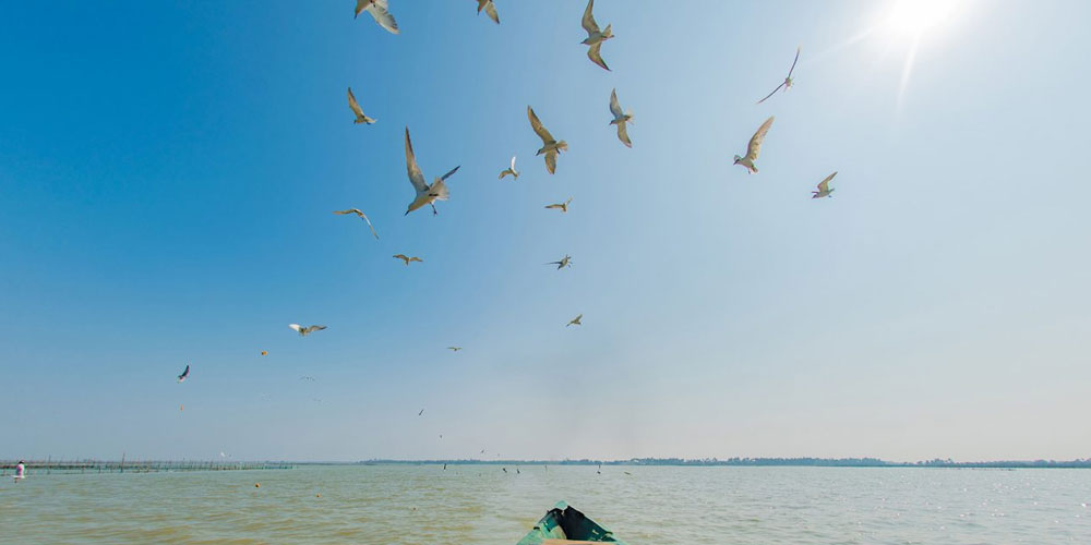 How-to-Choose-the-Best-Travel-Agents-in-Bhubaneswar-for-Your-Next-Dream-Vacation